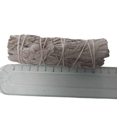 Bâton de Sauge blanche