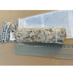 Sauge blanche de Californie