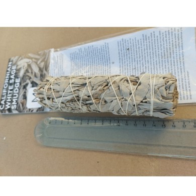 Sauge blanche de Californie