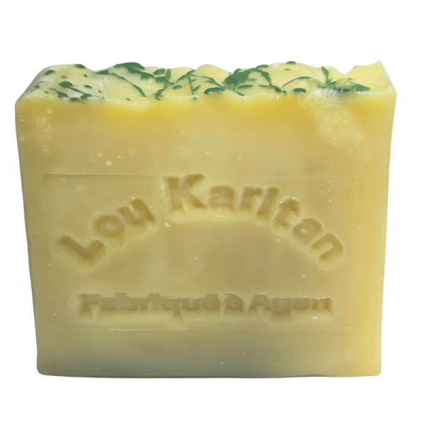Savon du Campeur